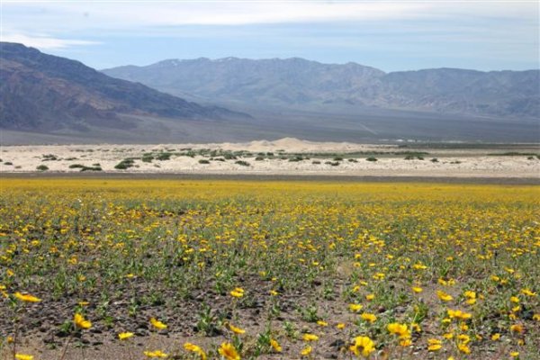 Death Valley Vista (Small).jpg