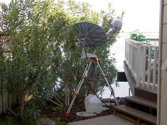 dish-sideyard.jpg