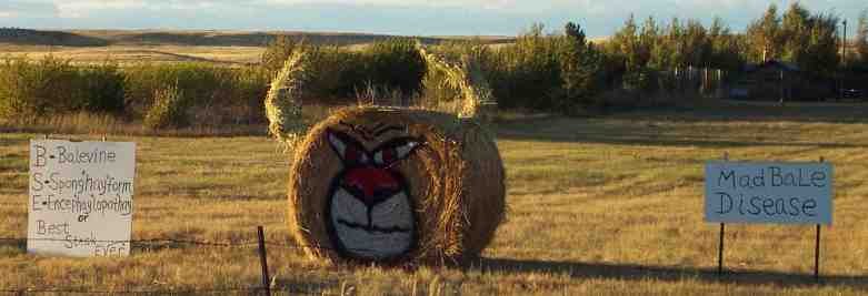 Hay Sculpture 4.jpg