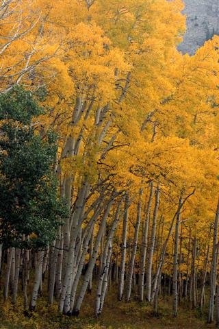 La Sal Mtns 058 copy (Small).jpg