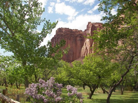 Capitol Reef NP 122 (Medium).jpg