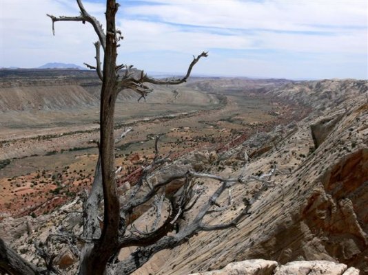 Burr Trail26 (Small).JPG