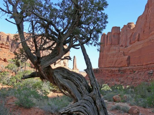 Arches Nat PArk (Large).jpg