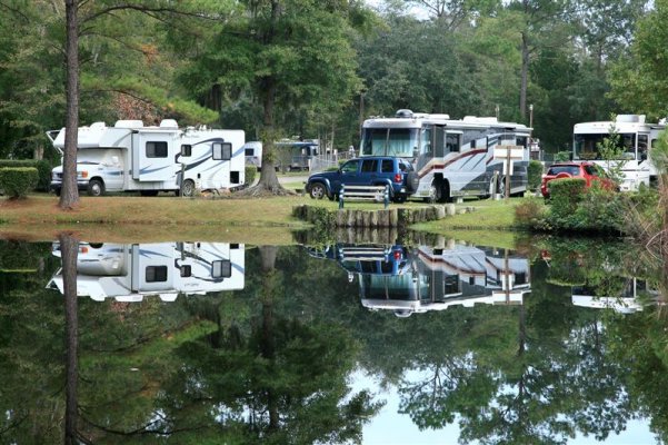 Reflections on pond (Medium).jpg