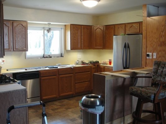 Pictures today of kitchen 2282010 002.JPG
