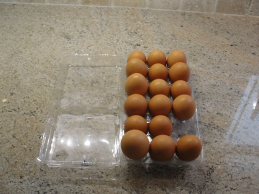 My big chickie eggs 001.JPG
