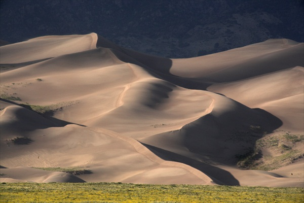 Great Sand Dunes NP_MG_4833-1-smalll.jpg