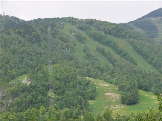 whiteface098 (Small).JPG
