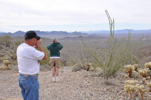 Quartzsite_2012_01_27_340.JPG