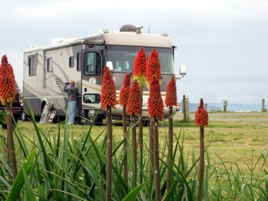 porttownsendMarsha&Flowers.JPG