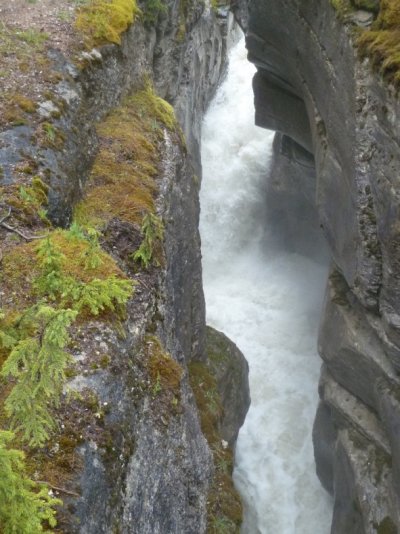 Down Maligne Canyon.jpg