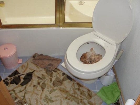 Toilet Mess.JPG