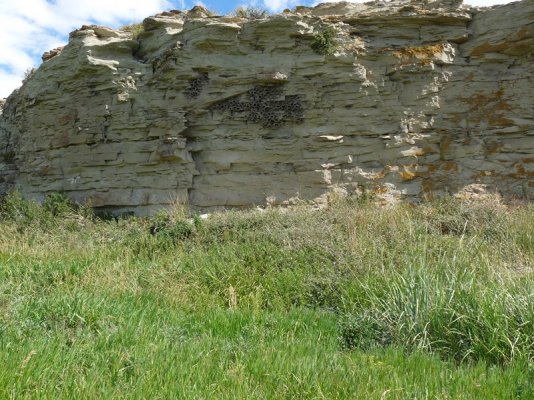 Buffalo Jump 2 (Copy).JPG