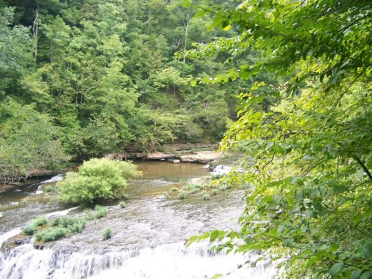 8-5-11View of the Falling Water River.jpg