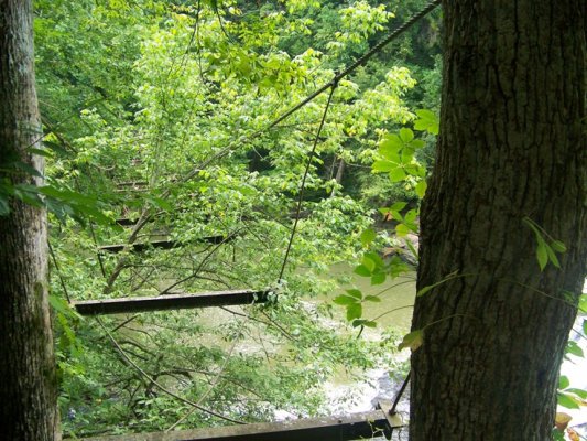 8-5-11 Old Swinging Bridge on Falling Water River.jpg
