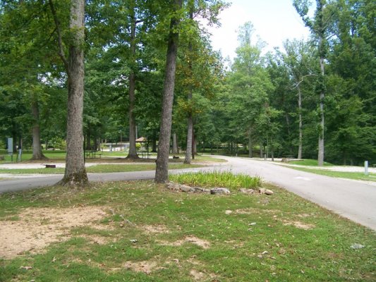 8-9-11 Levi Jackson State Park Kentucky .jpg