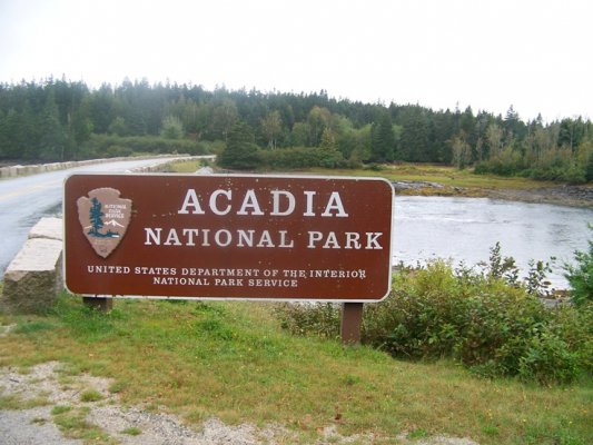9-6-11 Acadia Nat. Park Maine 2.jpg