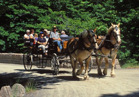 carriage-road-taken fm Acadia NP web site.jpg