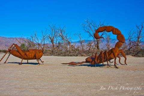 Scorpian & Grasshopper.JPG