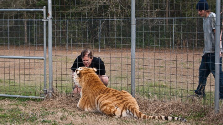 Tom and a tiger-2.jpg