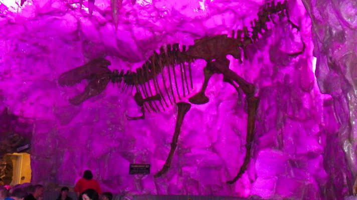 1 T-Rex in the Ice Cave.jpg