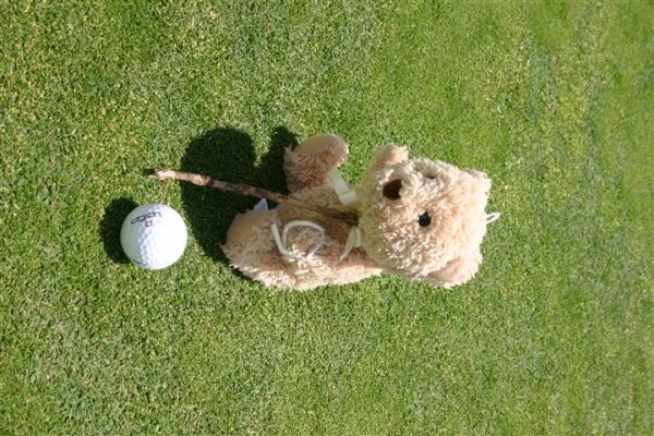 Care Bear with a terrific putting  stroke.JPG