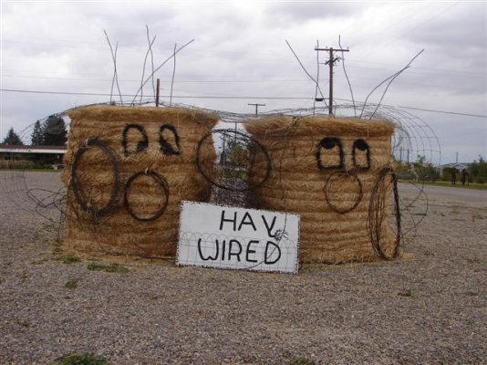 Hay Wired(Small).JPG