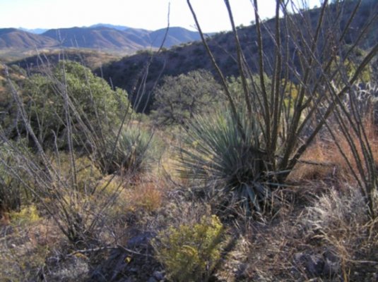 Arivaca.jpg