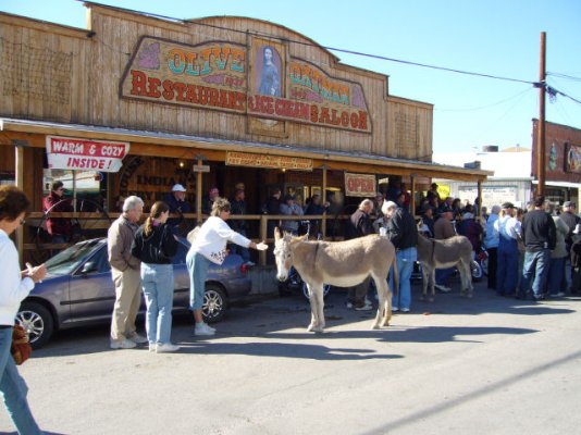 Oatman.jpg