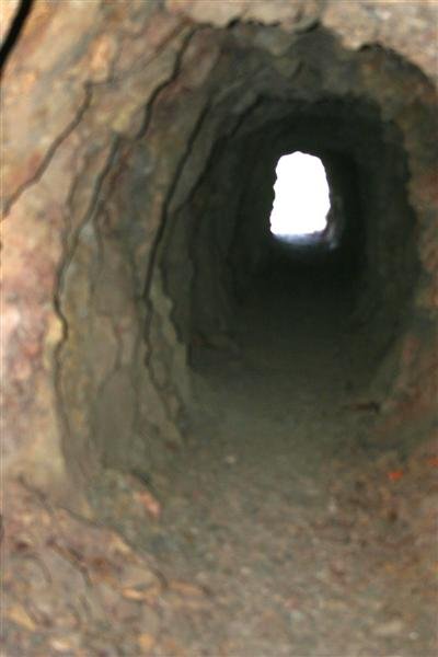 Southern X Mine 037 (Medium).jpg