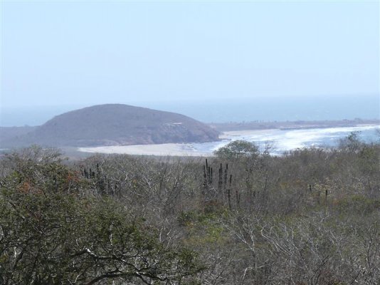 Sea of Cortez (Medium).JPG