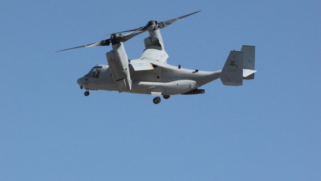 Osprey-8.JPG
