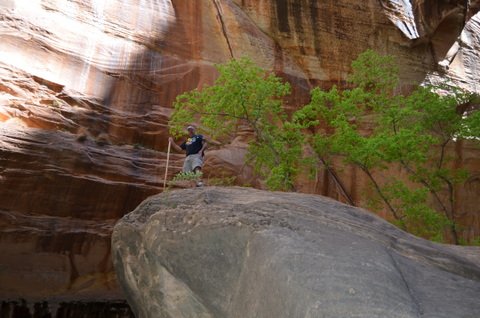 Zion Canyon Walk 080.JPG