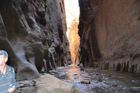 Zion Canyon Walk 105.JPG