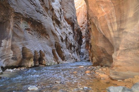 Zion Canyon Walk 111.JPG