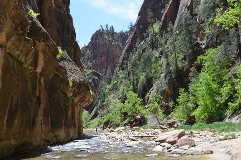 Zion Canyon Walk 146.JPG