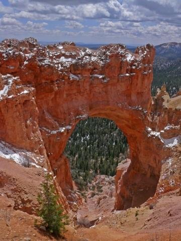 Natural Bridge-2 (Small).JPG