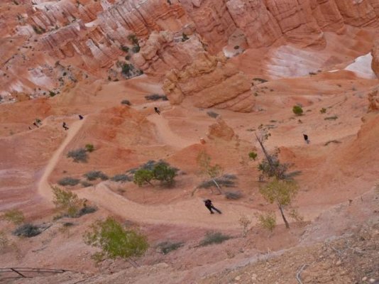 Navajo Trail Down (Small).JPG