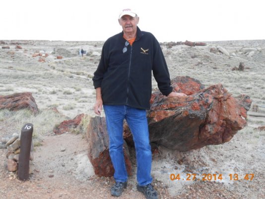 Petrified Forest 2014 011.JPG