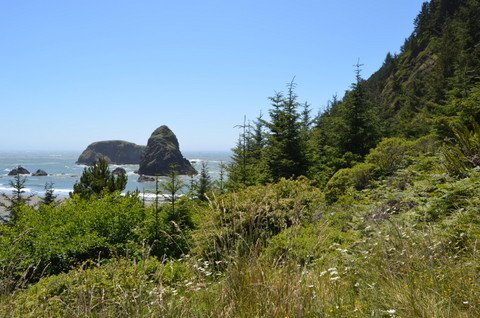 Oregon Beaches 011.JPG