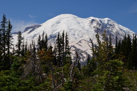 Mt. Rainier July 2014 029.JPG