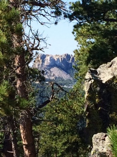 Mt Rushmore on Iron Mtn Rd.jpg