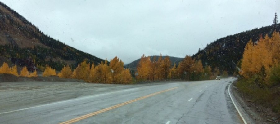 Fall Color Monarch Pass 3.jpg