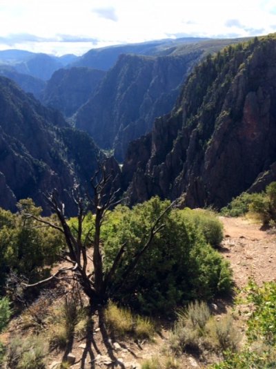 Canyon Vista.jpg