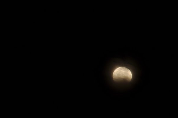 Eclipse_20141008_054_.JPG