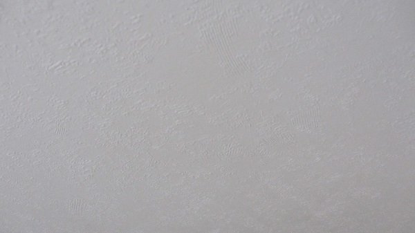 CeilingPanel.jpg