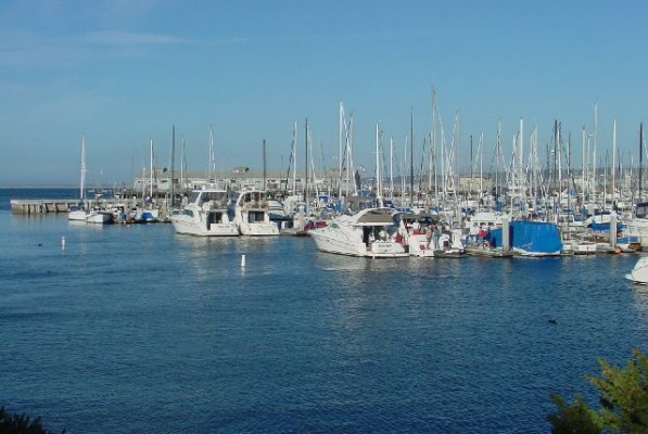 Monterey_harbor1.jpg