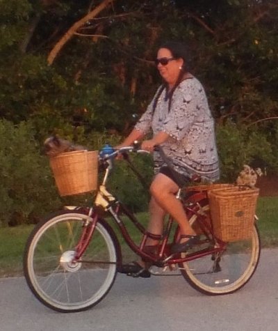 shiny red bicycle.JPG