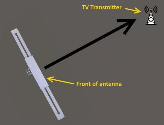 BatwingAntenna.jpg