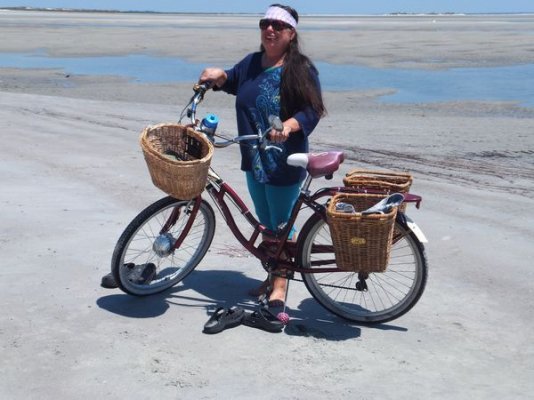 Schwinn with elec kit at beach_Picture.JPG